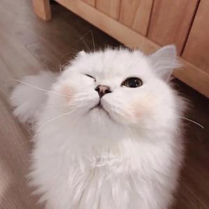 扶持他人
