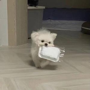 自然风光