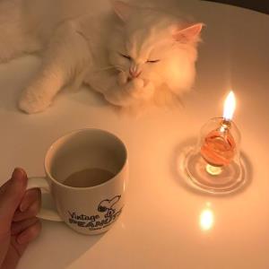 人生开花