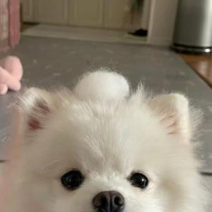快乐的走下去
