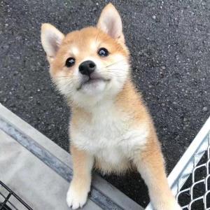 一路有你