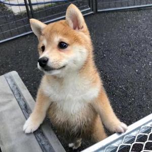 红颜知己
