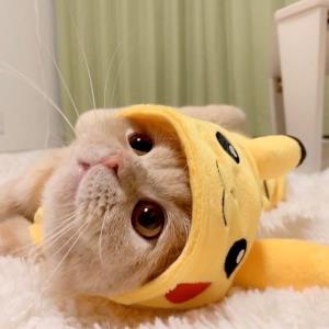 奔向梦想