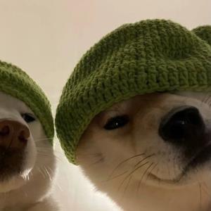 诚心诚意