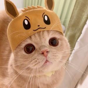 精彩人生
