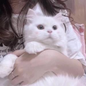 乐逍遥