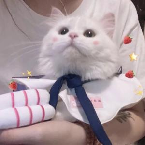 逍遥游