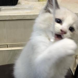 新生之路