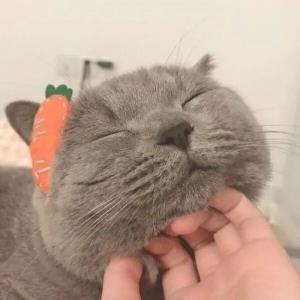 舒缓情绪