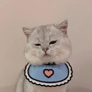 心灵洒脱
