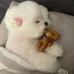 生活的美好