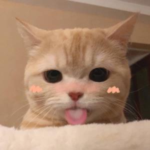 温暖阳光