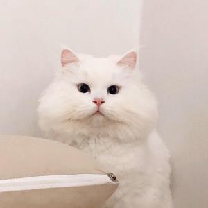 甜蜜生活