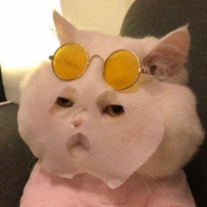 见贤思齐