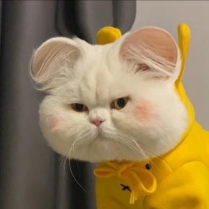 一心向善