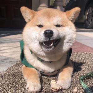 眉心微笑