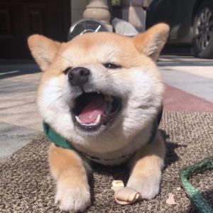 神奇的力量
