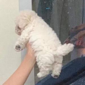 活泼可爱