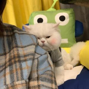 活出精彩