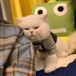 温情如水