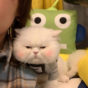 快乐青蛙