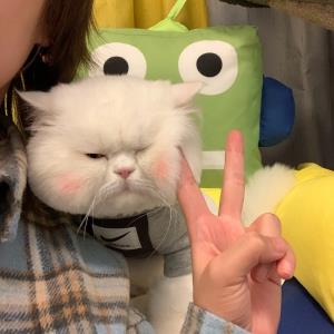心之所想