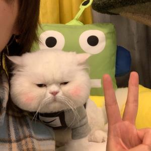 眉开眼笑