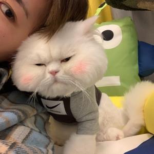 信任友善