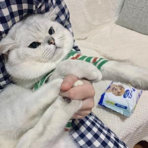 乐在其中