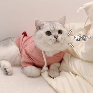 永不放弃