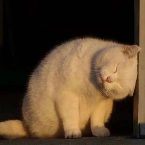 爱与希望