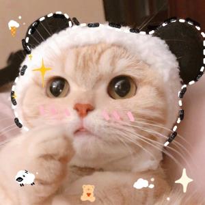 勤奋向上