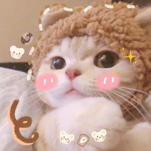 幸福一生