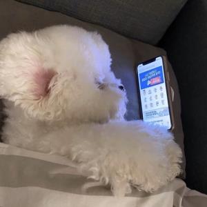 晨曦阳光