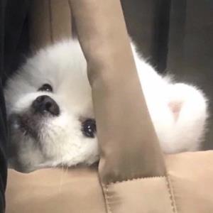 心动不已