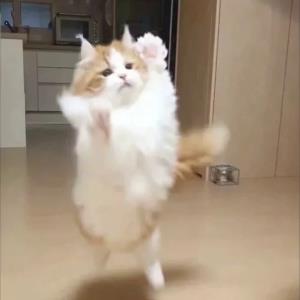 珍惜生命