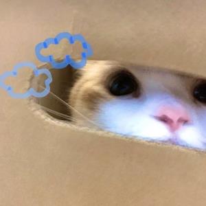 群策群力
