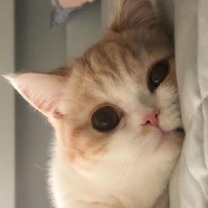 心情舒爽