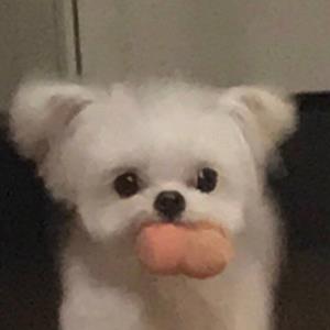 时光流转