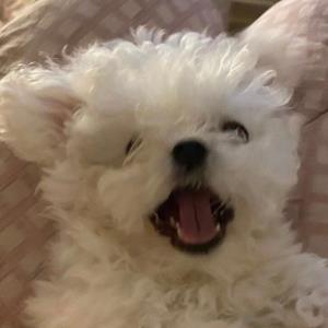 明天更美