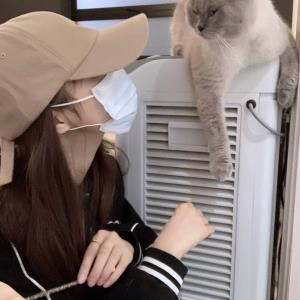 爱在心头