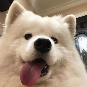 自由无羁
