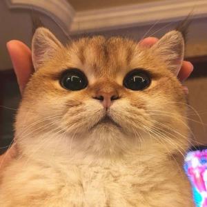 乐观自信