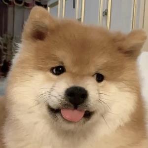 快乐的旋律