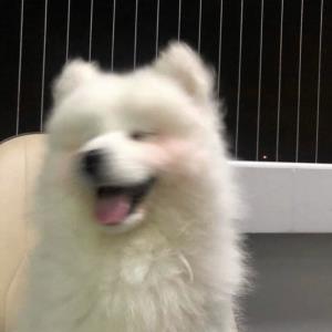 喜悦的心情