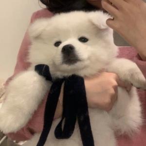 心灵的音符