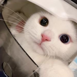 全心全意