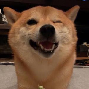 梦想客栈