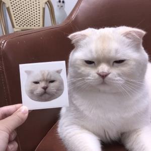 心中有梦