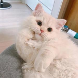 等待阳光